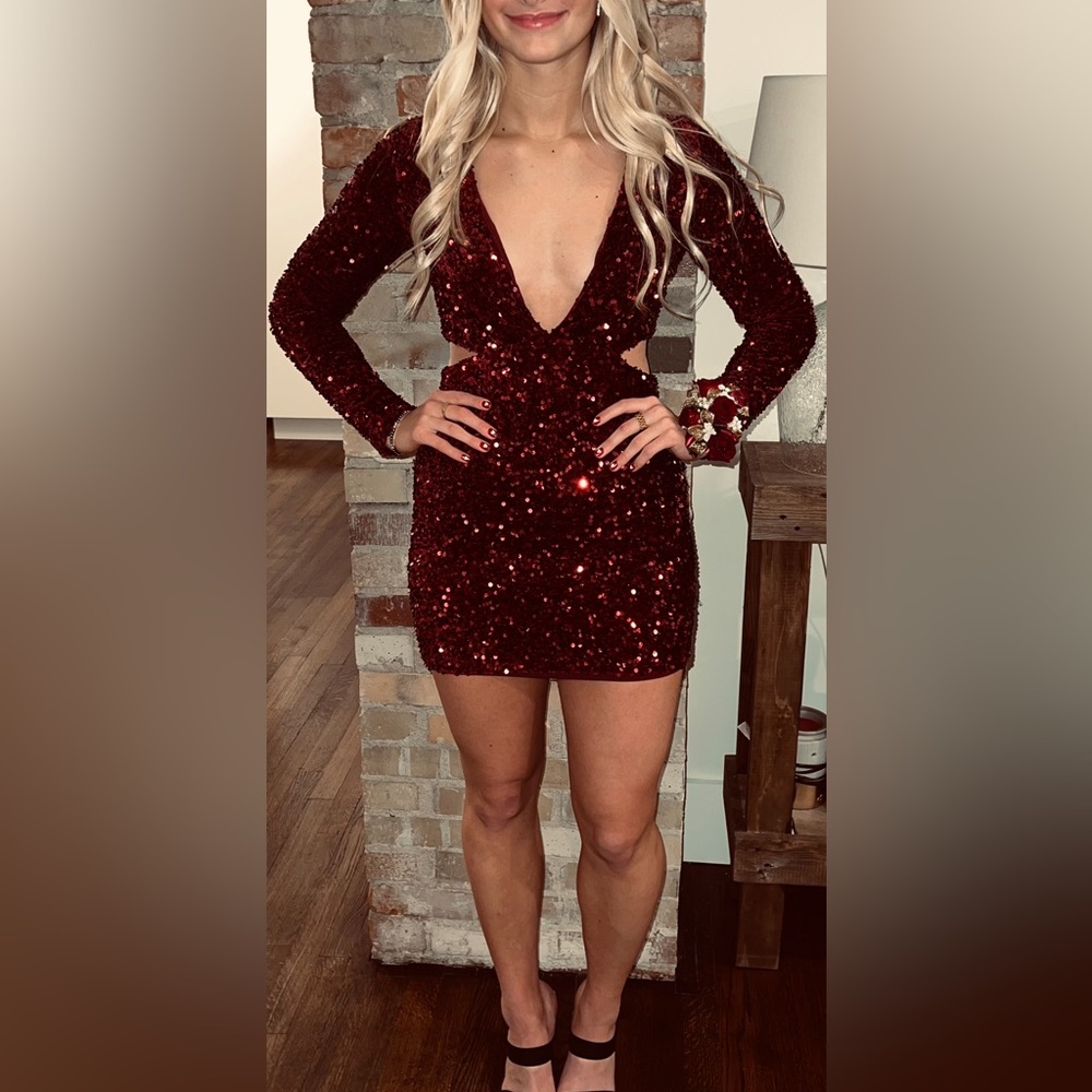Petal and Pup Sequin Kelly long sleeve mini dress in color wine